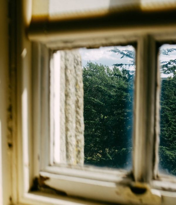 Serene landscape view through a clear window, symbolizing improved clarity.